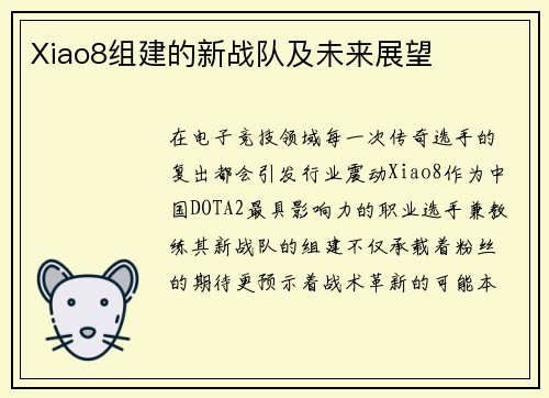 Xiao8组建的新战队及未来展望